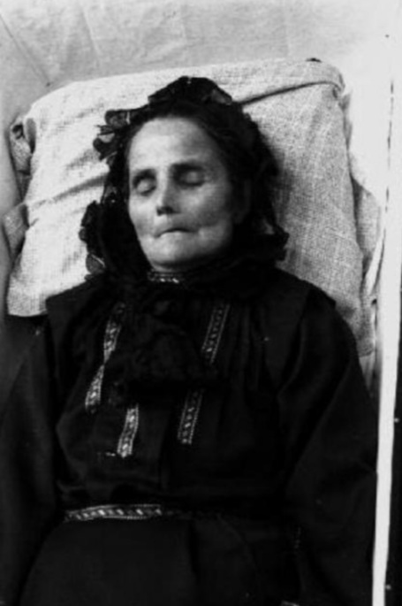 Amici amici poi ti fregano la bici by Greta Canali - Illustrated by Greta Canali, Yasmen Hegazi e Angela Berroa - Ourboox.com