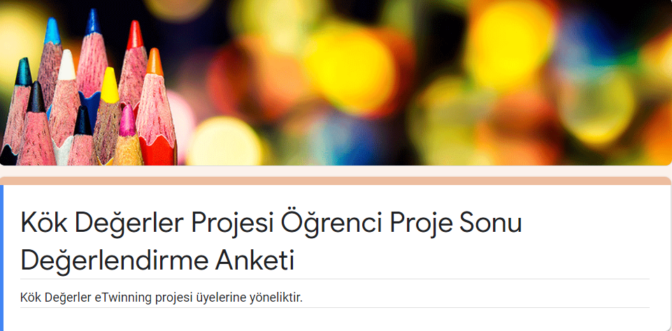 Proje Öğrenci Son Değerlendirme Anket Sonuçları by Güldane Aydın - Ourboox.com