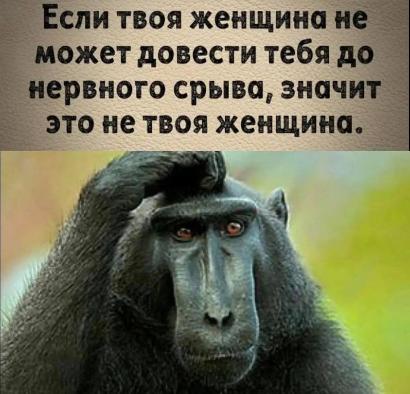 LG! by Julia Ilves - Ourboox.com