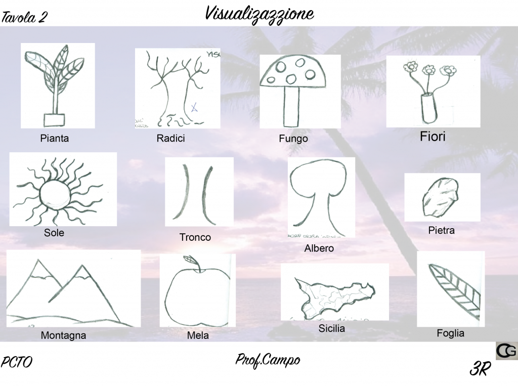 Progetto grafico logo alberi monumentali Sicilia by Caterina Grispo - Ourboox.com