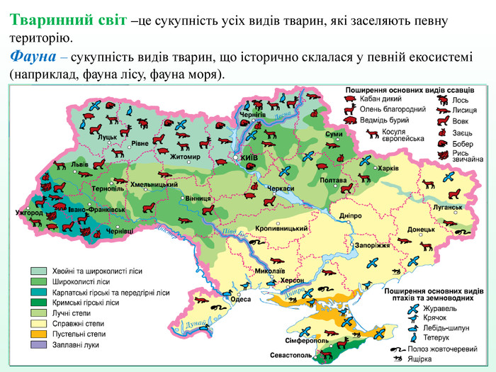 ТВАРИННИЙ СВІТ УКРАЇНИ by Natalia Sirenko - Ourboox.com