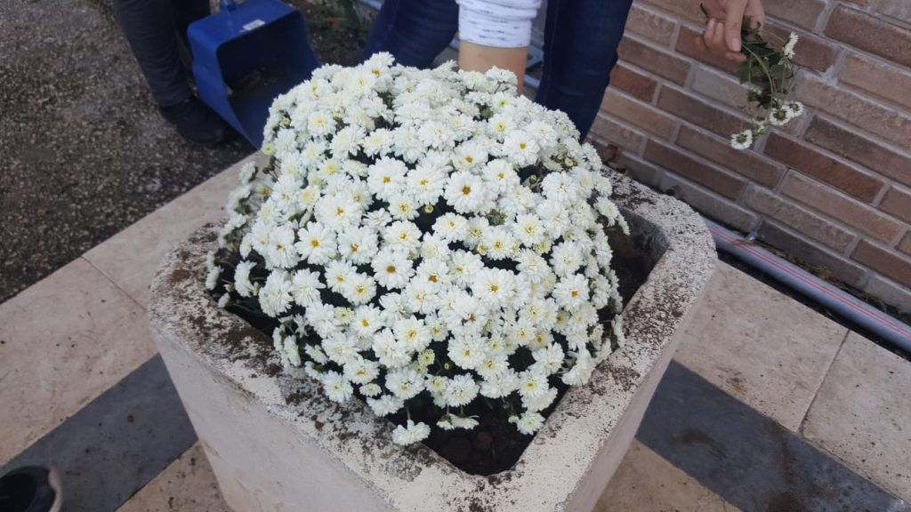 Doğa by Ayten Aydın - Ourboox.com