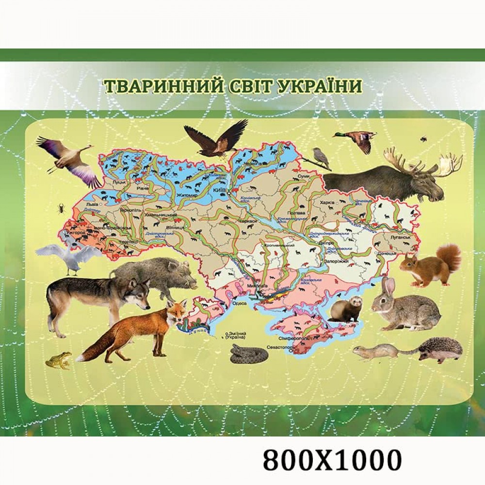 ТВАРИННИЙ СВІТ УКРАЇНИ by Natalia Sirenko - Ourboox.com