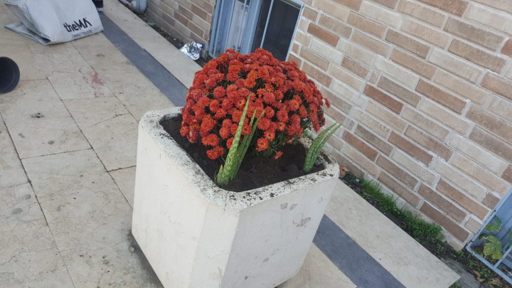 Doğa by Ayten Aydın - Ourboox.com