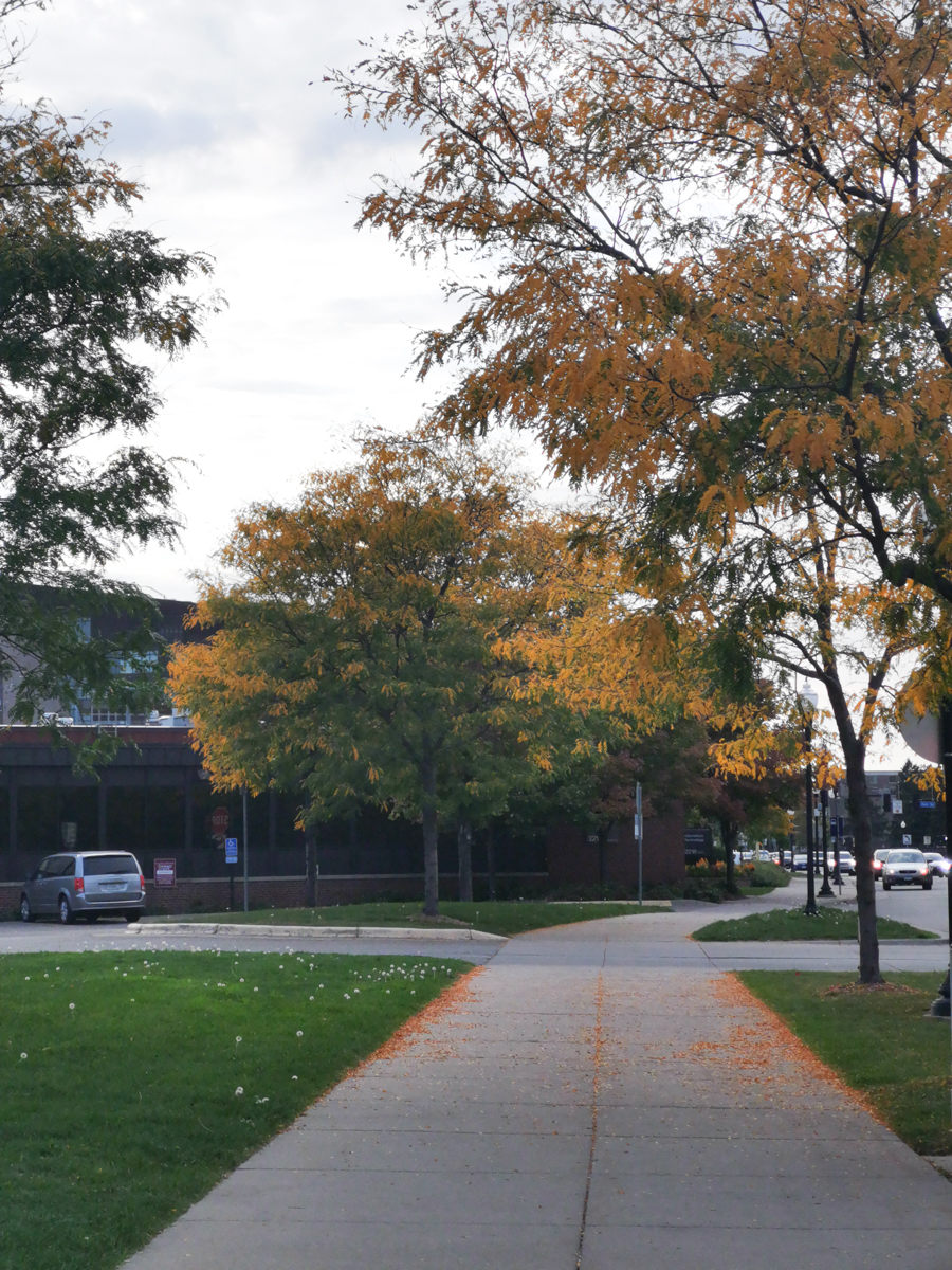 Transmigration by Andy Liu - Illustrated by Zhenyu Liu - Ourboox.com