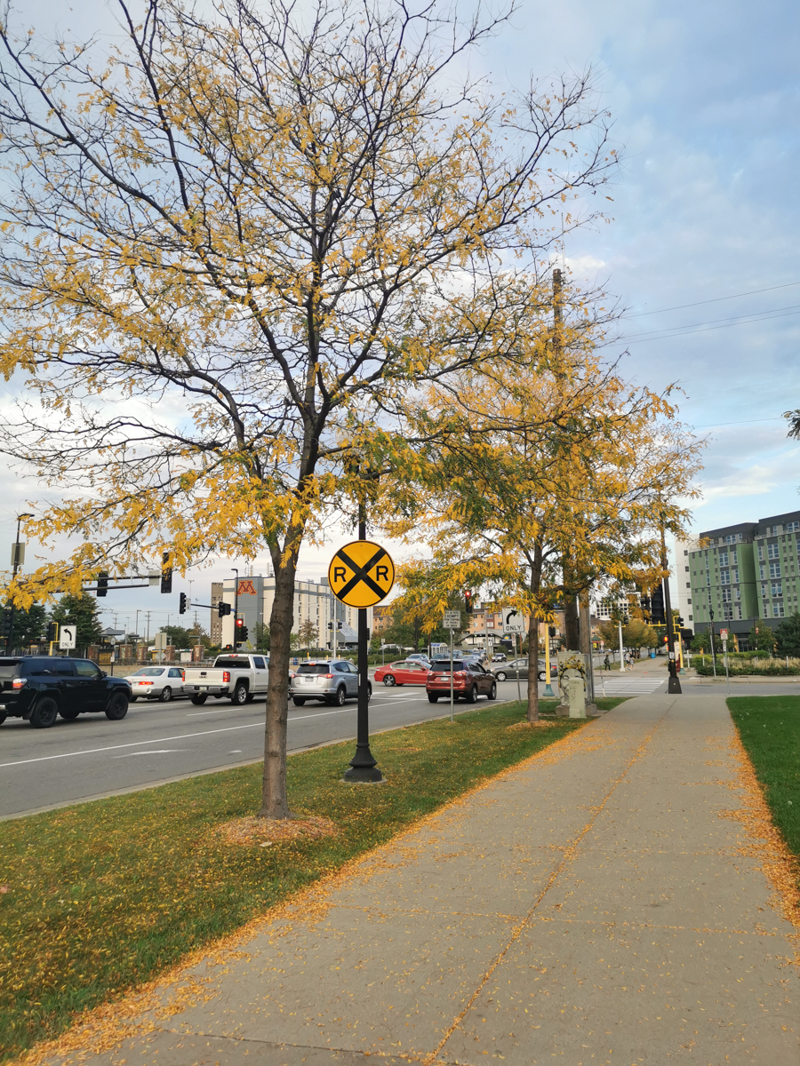 Transmigration by Andy Liu - Illustrated by Zhenyu Liu - Ourboox.com