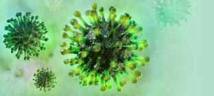 למידה מרחוק (זום) by alia gama - Ourboox.com