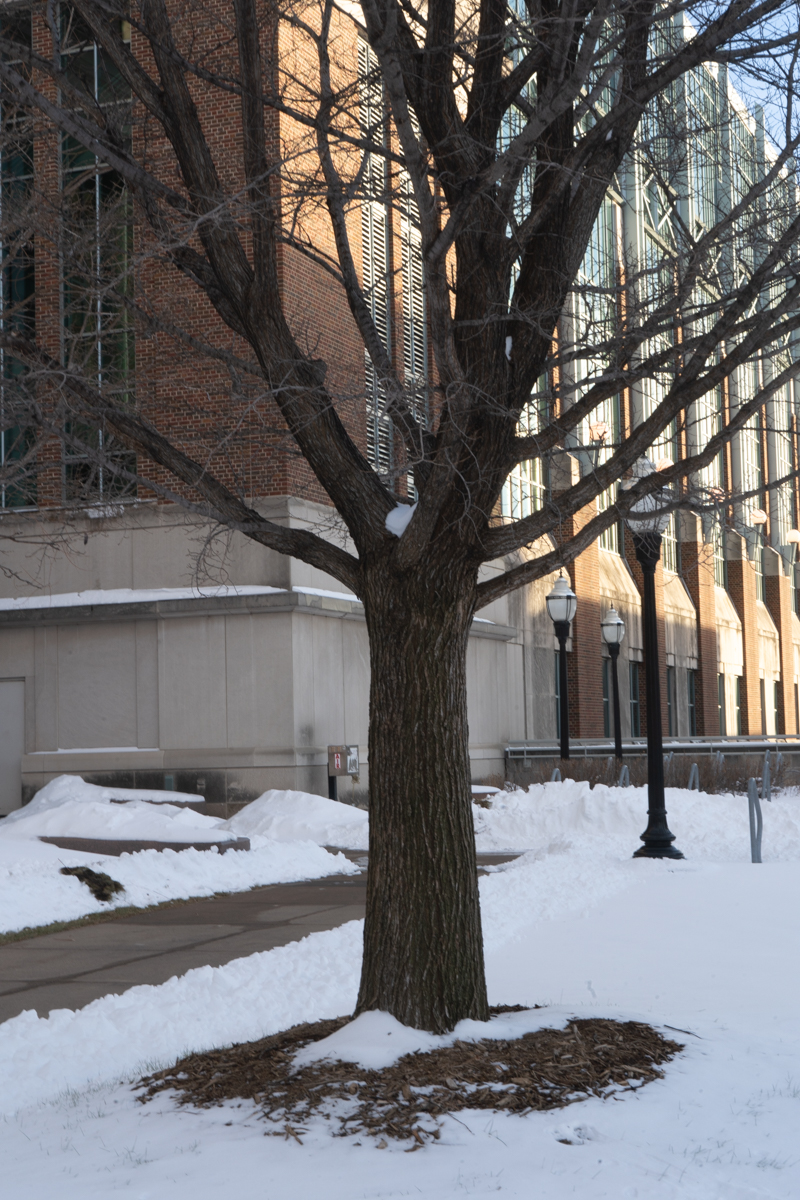 Transmigration by Andy Liu - Illustrated by Zhenyu Liu - Ourboox.com