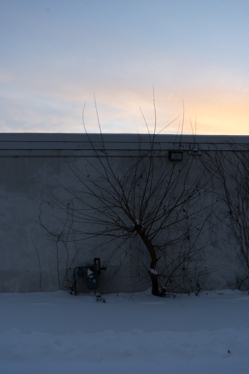 Transmigration by Andy Liu - Illustrated by Zhenyu Liu - Ourboox.com