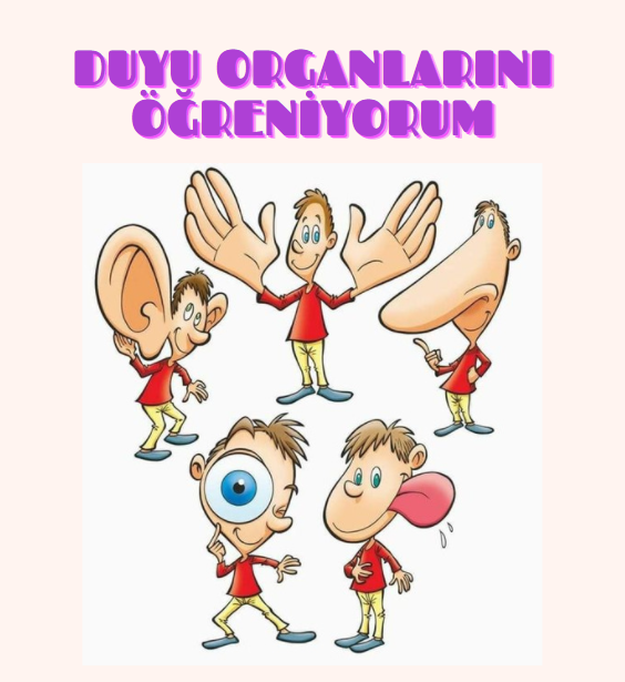 DUYU ORGANLARINI ÖĞRENİYORUM by filiz aksu - Illustrated by Filiz AKSU YAŞIN - Ourboox.com