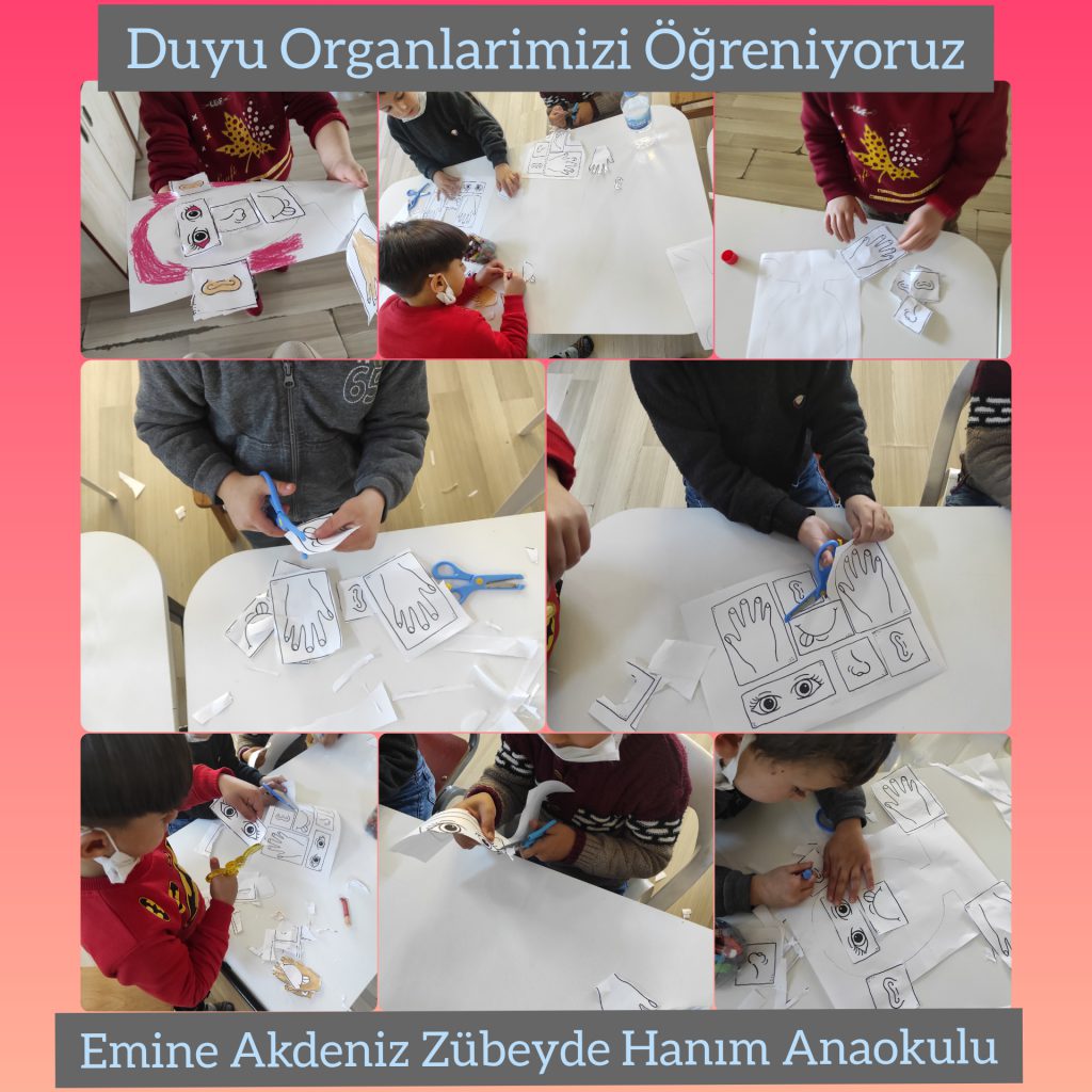 DUYU ORGANLARINI ÖĞRENİYORUM by filiz aksu - Illustrated by Filiz AKSU YAŞIN - Ourboox.com