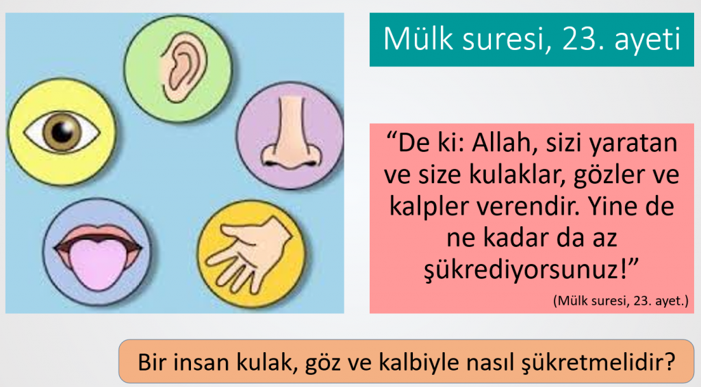 Bilgi ve İnanç by Feyza Alan - Illustrated by Feyza Alan - Ourboox.com