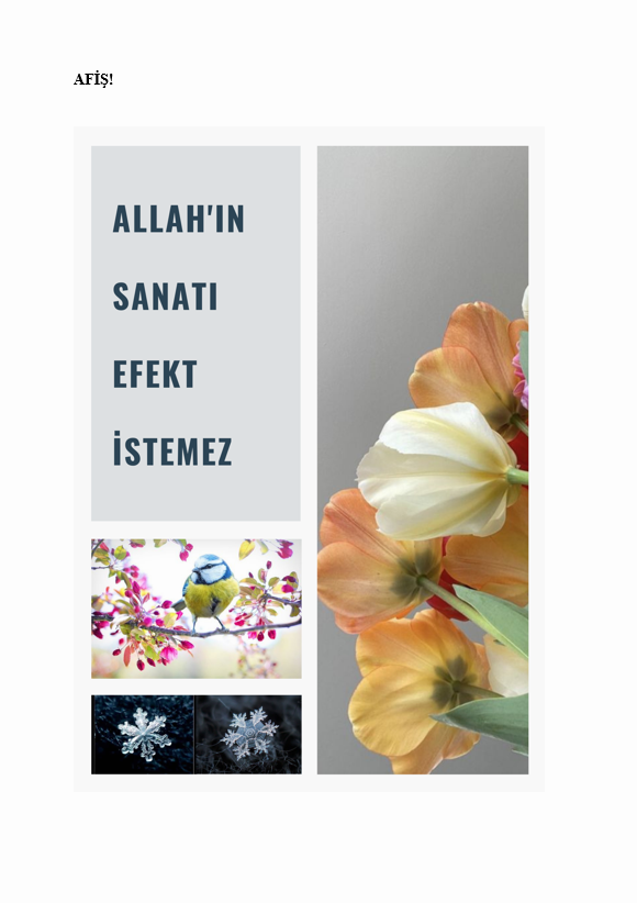 ALLAH-İNSAN İLİŞKİSİ by Hilal Uysal - Ourboox.com