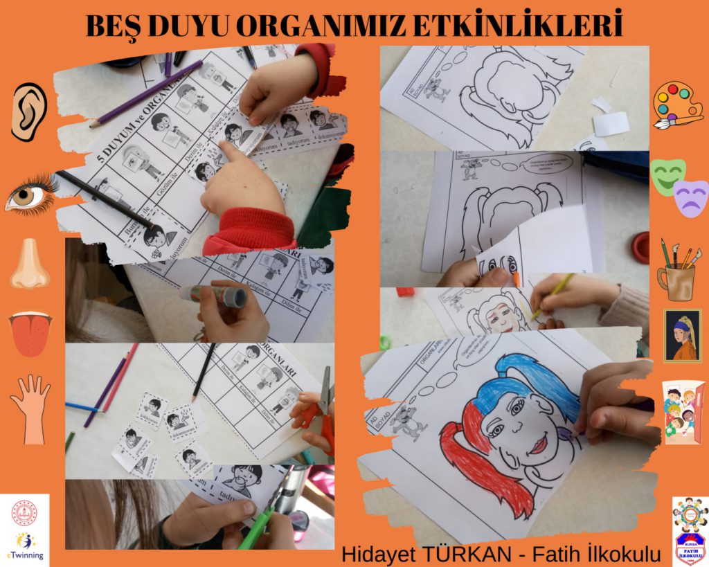 DUYU ORGANLARINI ÖĞRENİYORUM by filiz aksu - Illustrated by Filiz AKSU YAŞIN - Ourboox.com