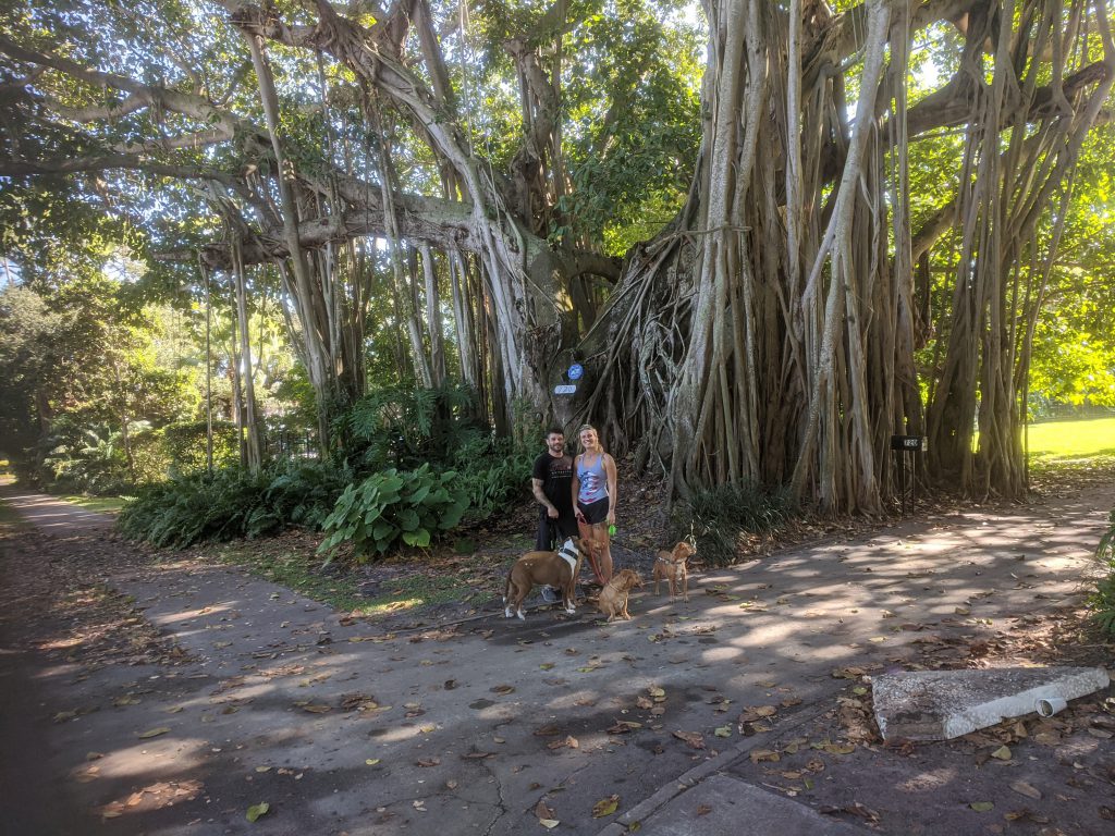 Florida Get-Together Dec’21 by Edward Wallo - Ourboox.com