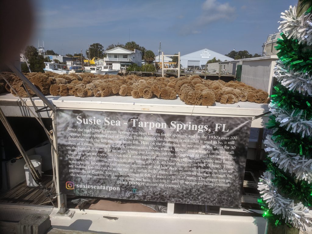 Florida Get-Together Dec’21 by Edward Wallo - Ourboox.com