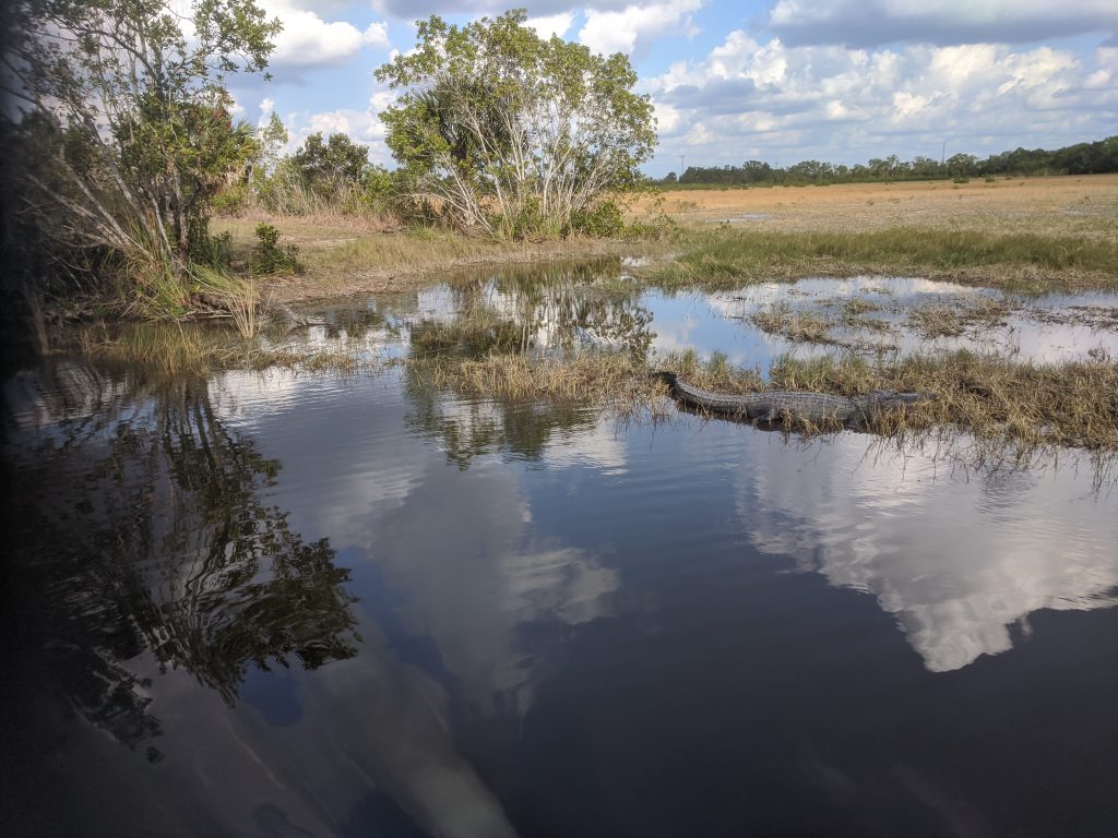 Florida Get-Together Dec’21 by Edward Wallo - Ourboox.com