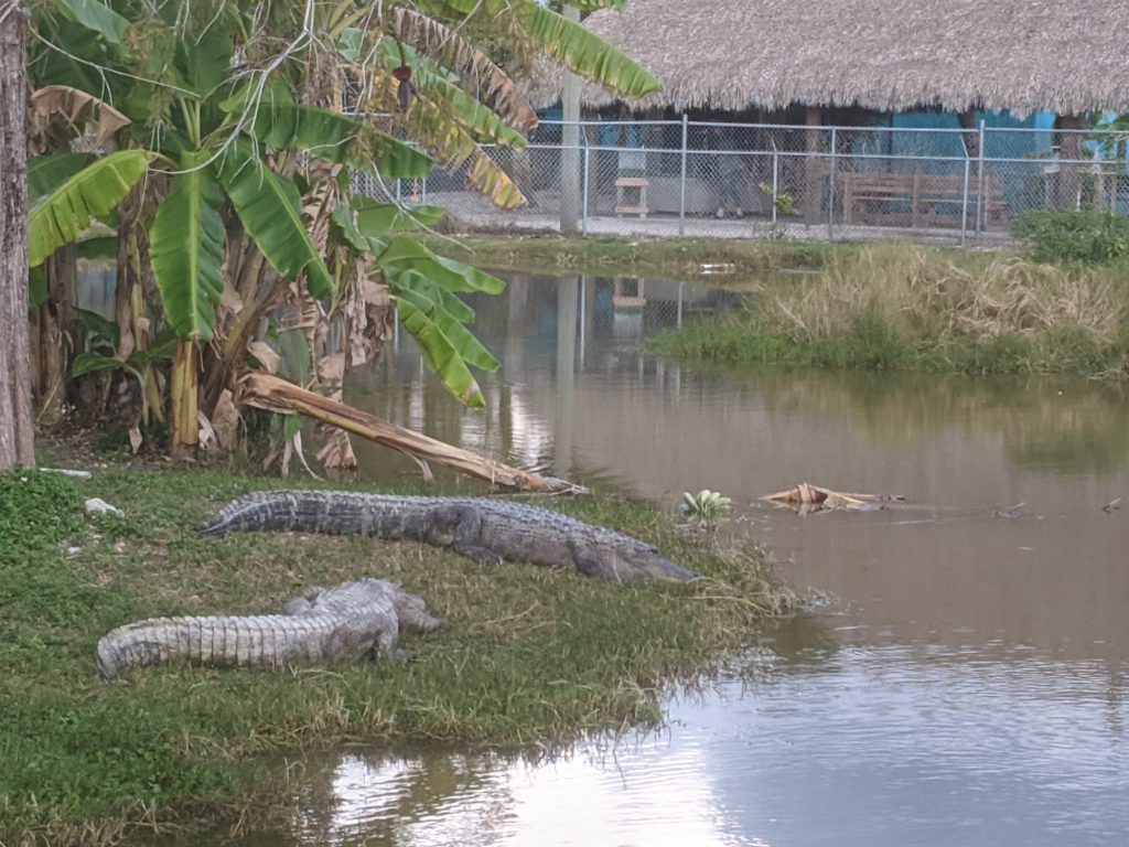 Florida Get-Together Dec’21 by Edward Wallo - Ourboox.com