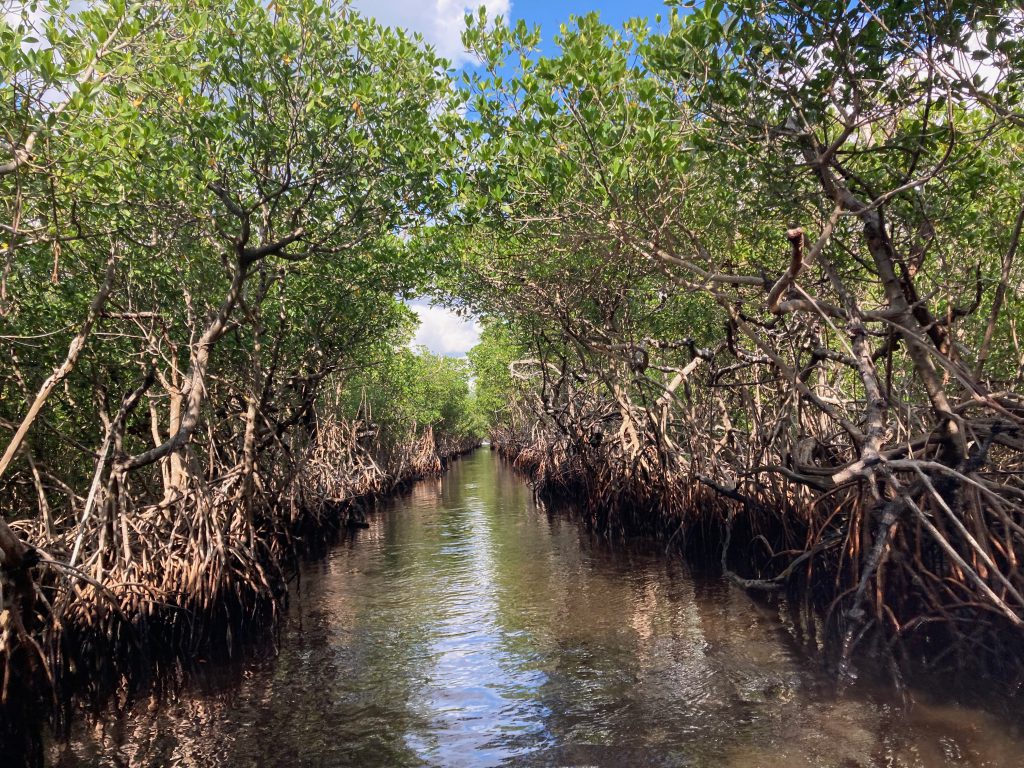 Florida Get-Together Dec’21 by Edward Wallo - Ourboox.com