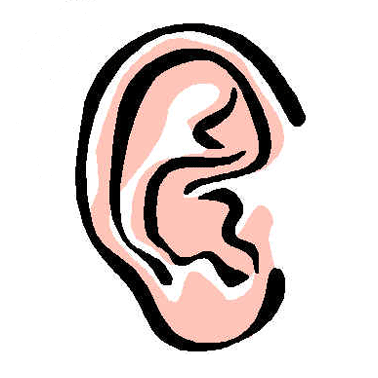 fen bilimleri by Esra Şahbaz - Ourboox.com