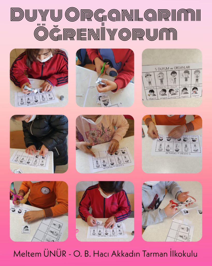 DUYU ORGANLARINI ÖĞRENİYORUM by filiz aksu - Illustrated by Filiz AKSU YAŞIN - Ourboox.com