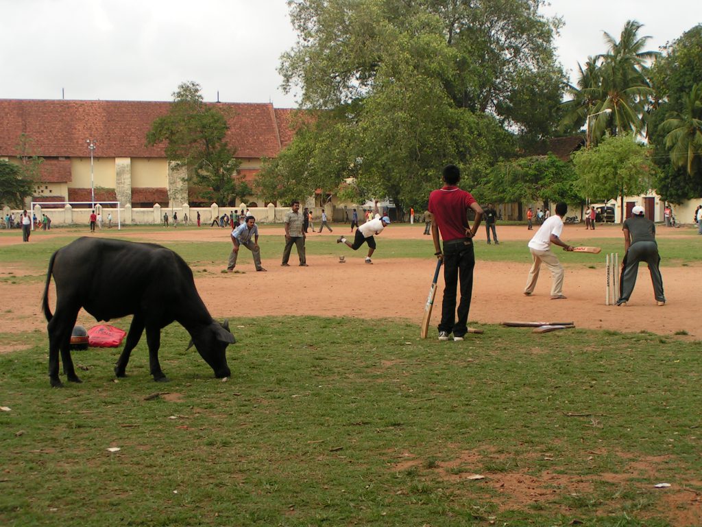 טיול שורשים להודו – חלק שני דרום הודו by מיכל בן הגיא - Illustrated by אבנר אייזיק - Ourboox.com