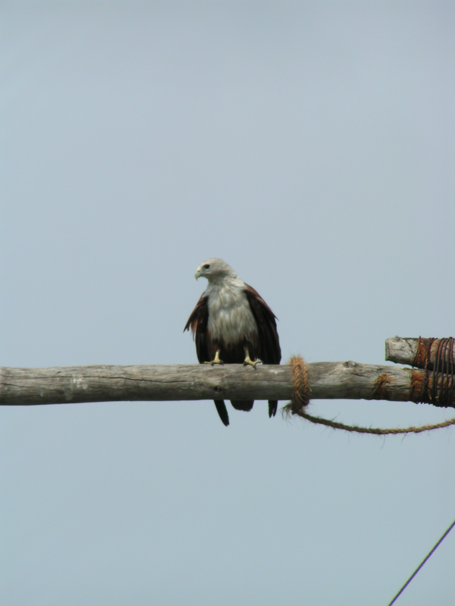 טיול שורשים להודו – חלק שני דרום הודו by מיכל בן הגיא - Illustrated by אבנר אייזיק - Ourboox.com