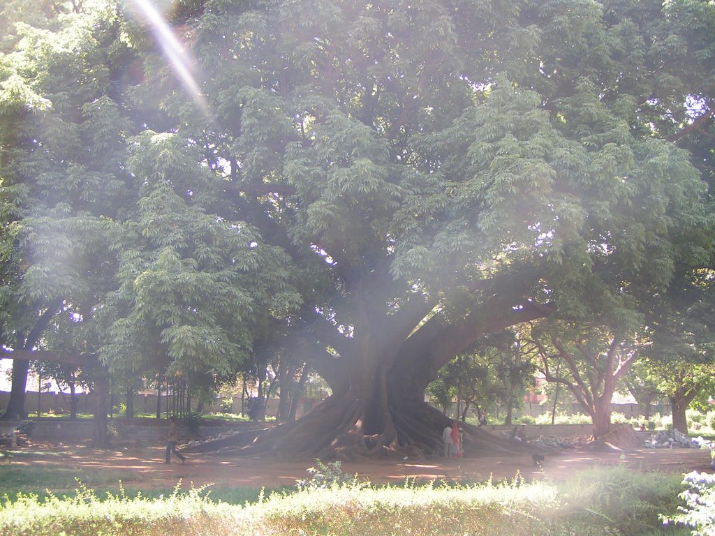 טיול שורשים להודו – חלק ראשון מומביי עד מייסור by מיכל בן הגיא - Illustrated by אבנר אייזיק - Ourboox.com