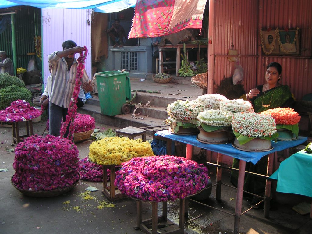 טיול שורשים להודו – חלק ראשון מומביי עד מייסור by מיכל בן הגיא - Illustrated by אבנר אייזיק - Ourboox.com