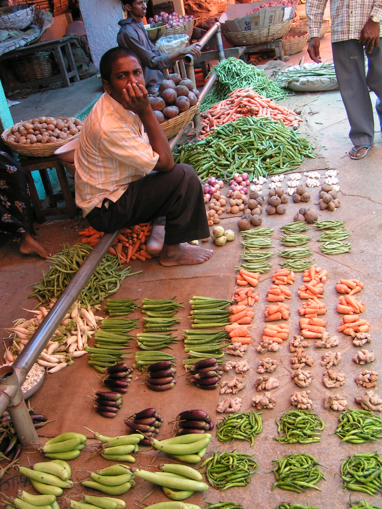 טיול שורשים להודו – חלק ראשון מומביי עד מייסור by מיכל בן הגיא - Illustrated by אבנר אייזיק - Ourboox.com