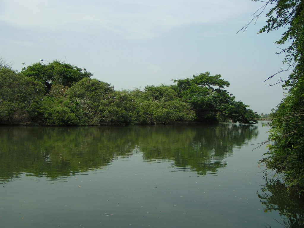 טיול שורשים להודו – חלק ראשון מומביי עד מייסור by מיכל בן הגיא - Illustrated by אבנר אייזיק - Ourboox.com