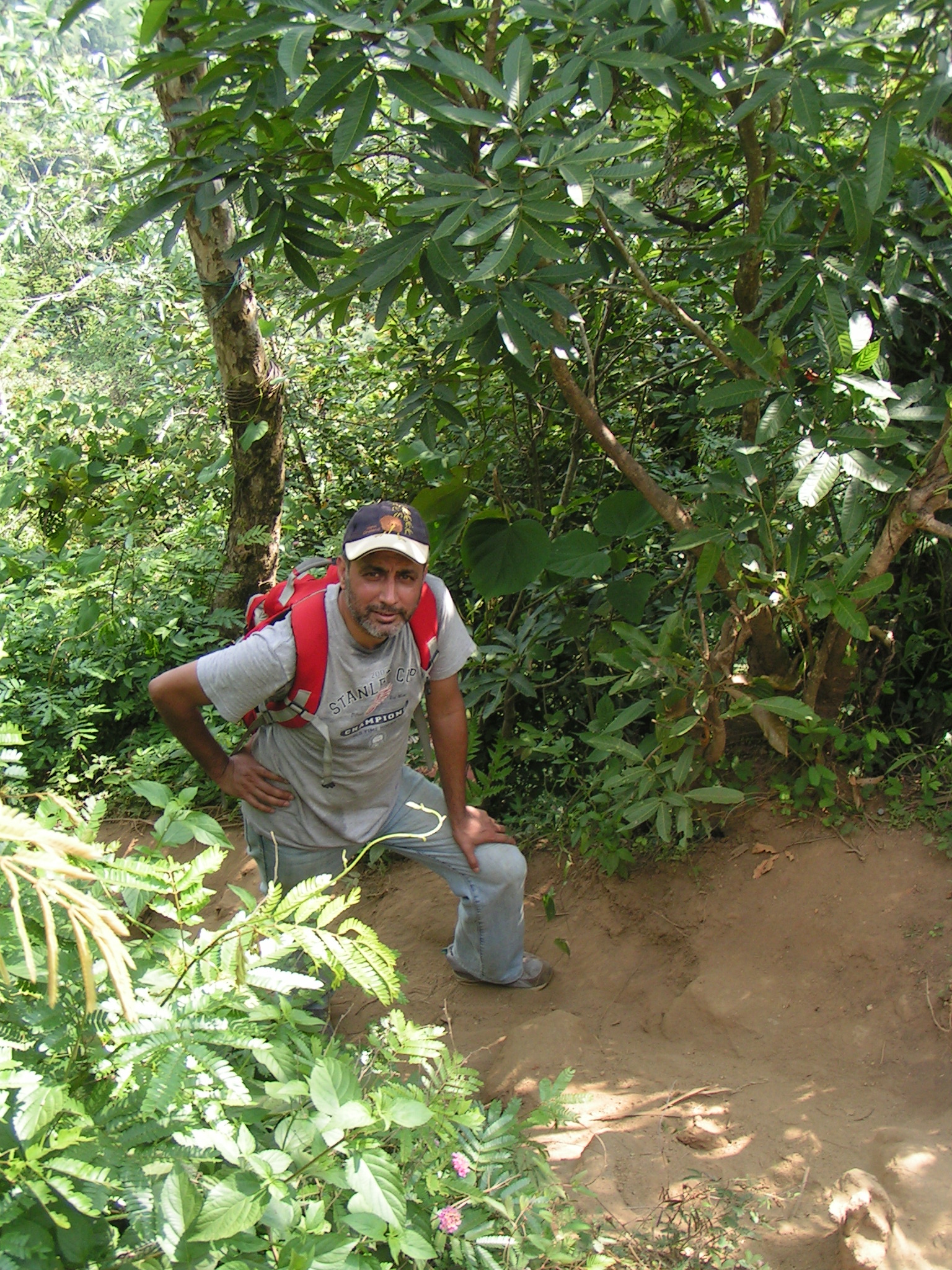 טיול שורשים להודו – חלק שני דרום הודו by מיכל בן הגיא - Illustrated by אבנר אייזיק - Ourboox.com
