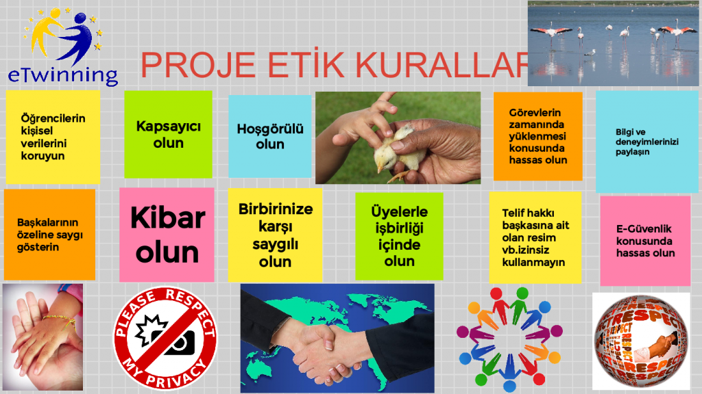 Ali örnek by Kadriye Güleş - Ourboox.com