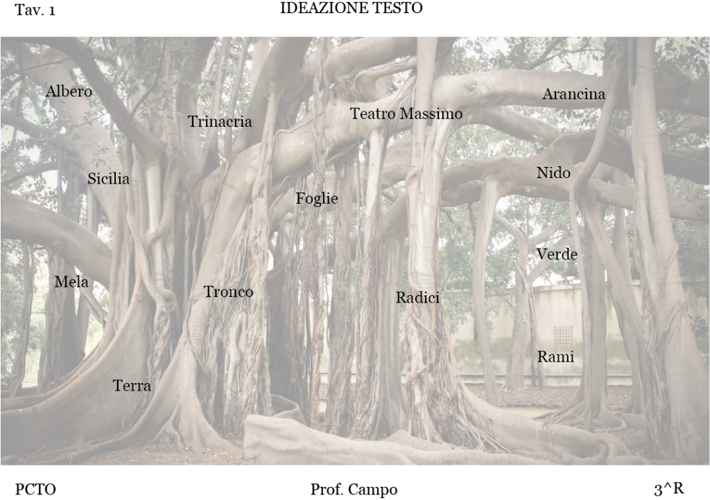 progetto grafico alberi monumentali di Sicilia by Salvatore Rizzuto - Ourboox.com