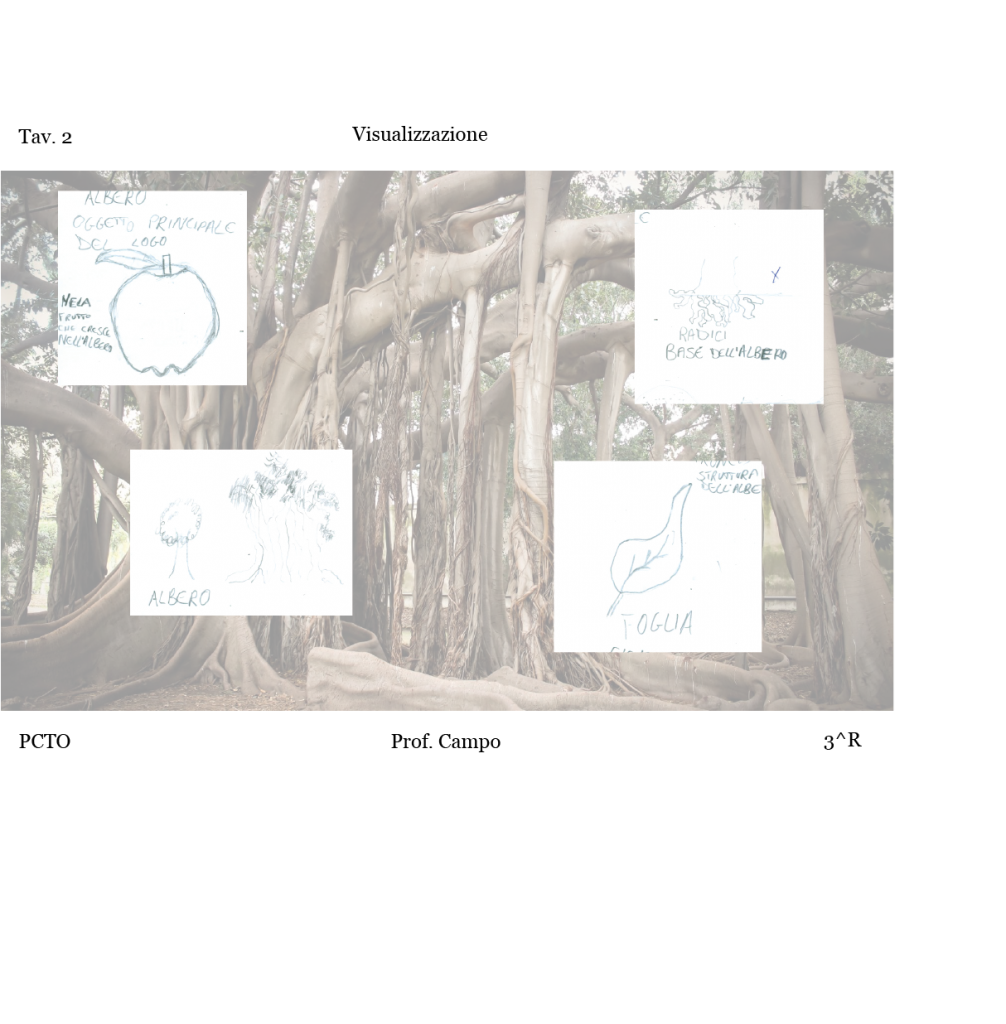 progetto grafico alberi monumentali di Sicilia by Salvatore Rizzuto - Ourboox.com