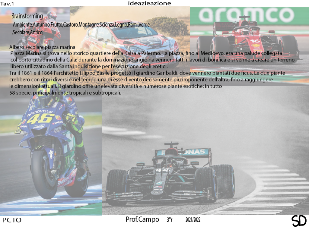 Progetto grafico Alberi Monumentali by stefano d