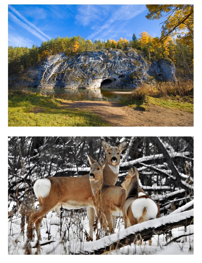 Экология Малой родины by Tserbe Ekaterina - Ourboox.com