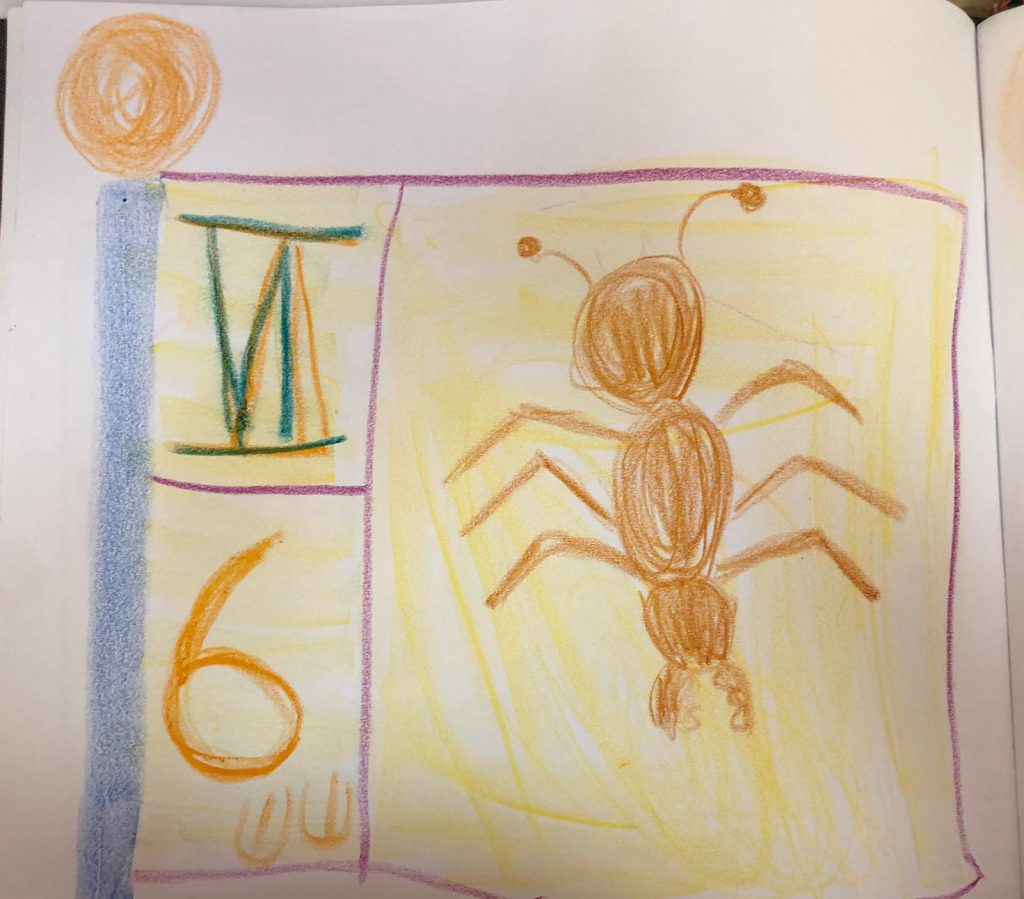 עבודת מחברת בחינוך וולדורף- כיתה א’ by hila toren - Ourboox.com