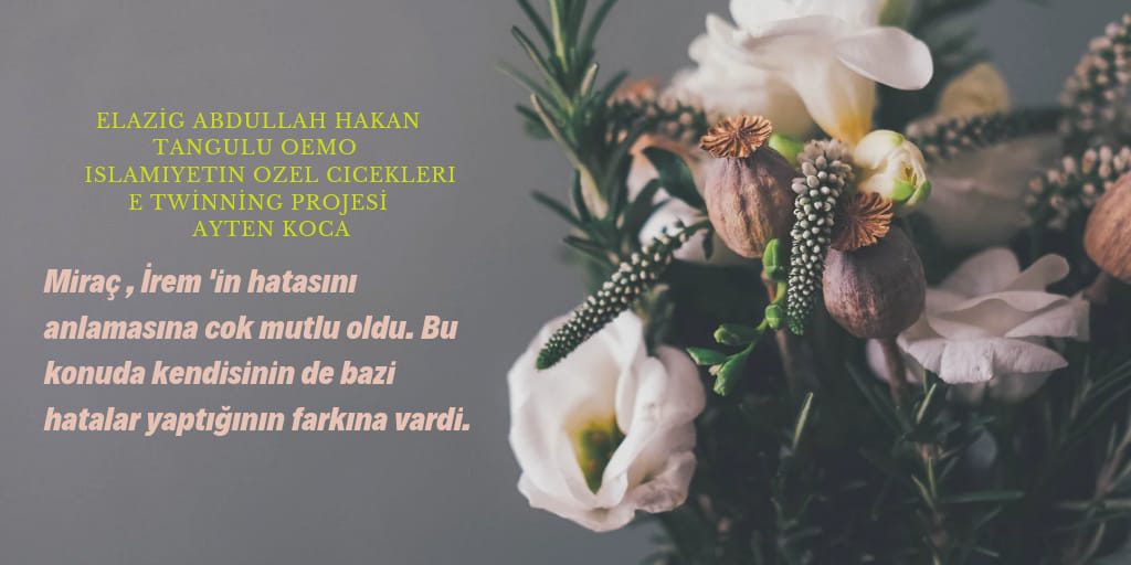 ENGELSİZ YARDIMLAŞMALAR by islamiyetin özel çiçekleri - Ourboox.com