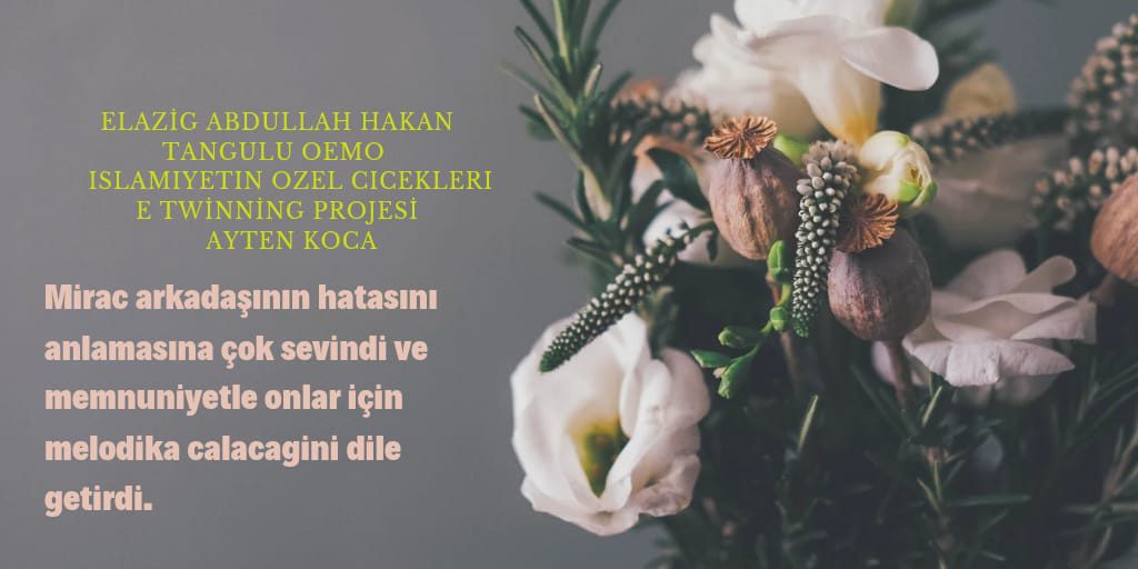 ENGELSİZ YARDIMLAŞMALAR by islamiyetin özel çiçekleri - Ourboox.com