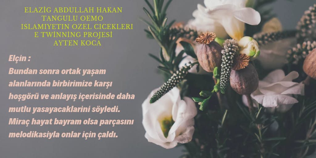 ENGELSİZ YARDIMLAŞMALAR by islamiyetin özel çiçekleri - Ourboox.com