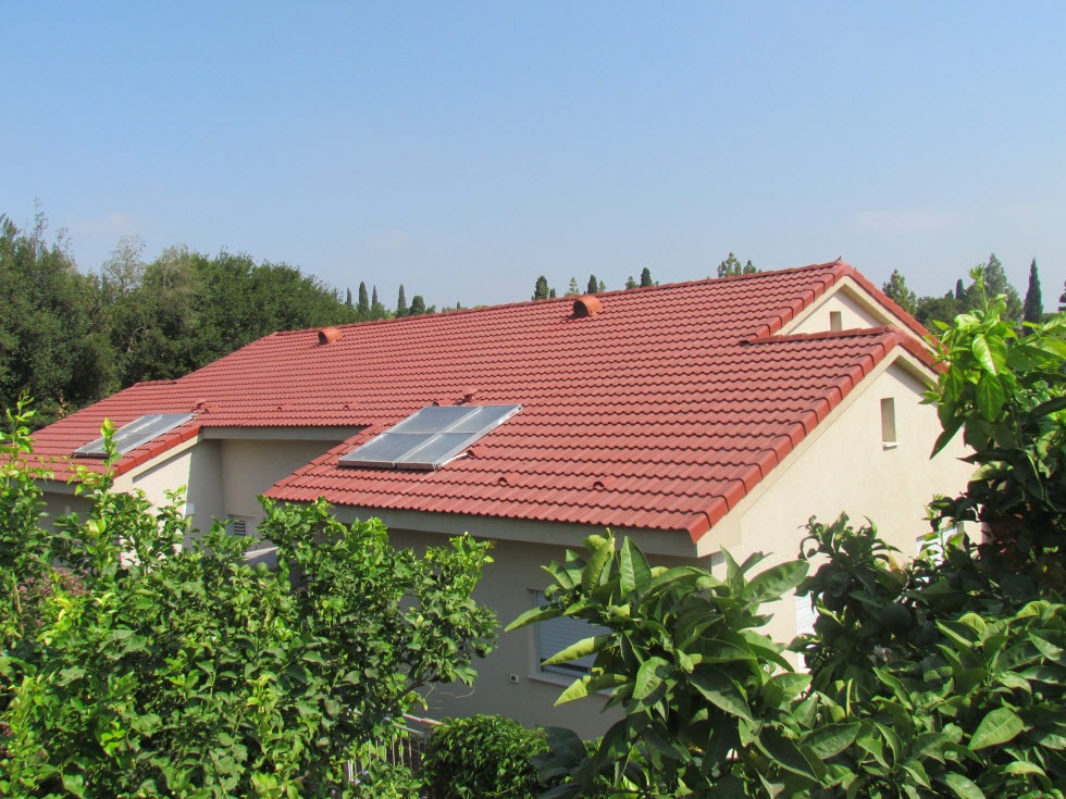 The Gaint by Adi Shomer - Ourboox.com