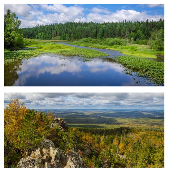 Экология Малой родины by Tserbe Ekaterina - Ourboox.com