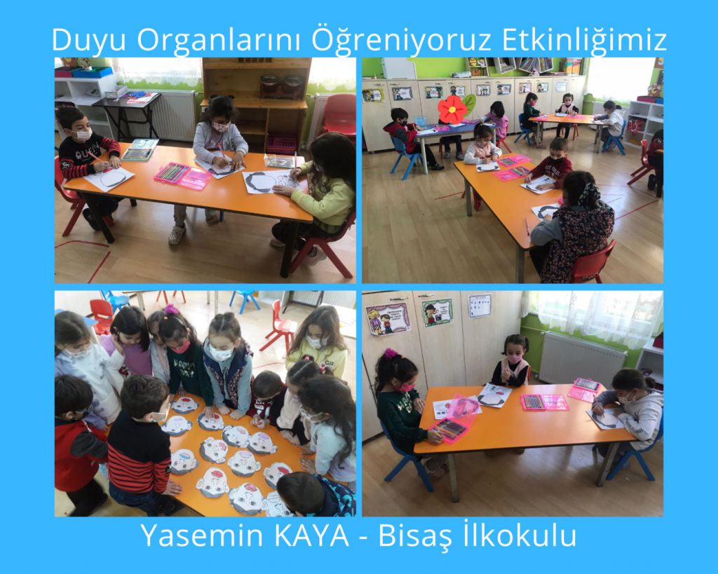 DUYU ORGANLARINI ÖĞRENİYORUM by filiz aksu - Illustrated by Filiz AKSU YAŞIN - Ourboox.com