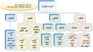أسماء الإشارة by Rana - Illustrated by رنا ابو ربيعة، تسنيم ابو عجاج - Ourboox.com