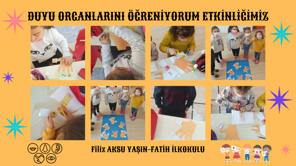 DUYU ORGANLARINI ÖĞRENİYORUM by filiz aksu - Illustrated by Filiz AKSU YAŞIN - Ourboox.com