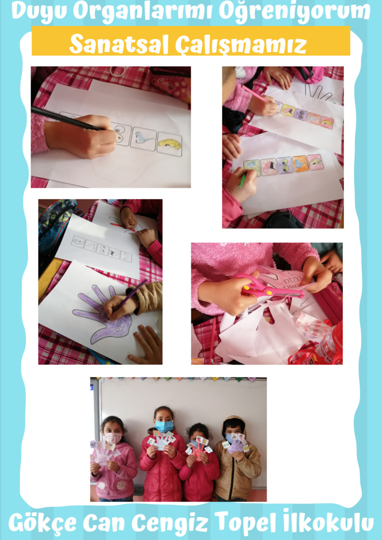 DUYU ORGANLARINI ÖĞRENİYORUM by filiz aksu - Illustrated by Filiz AKSU YAŞIN - Ourboox.com