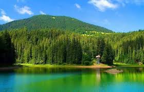 «Моя Батьківщина – це вся Україна» by tatiana - Ourboox.com