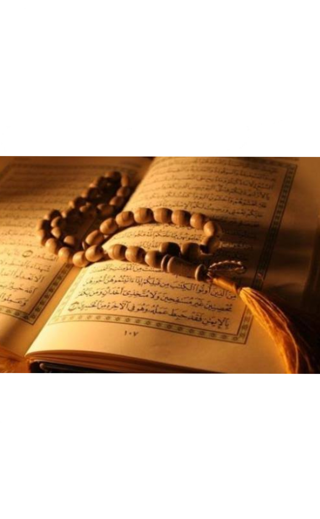 Ders kitabi by Yağmur aslan - Illustrated by Yağmur Aslan - Ourboox.com