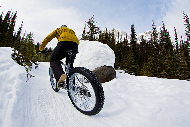 שלושה נושאים מעניינים בקורס תקשוב וחדשנות בלמידה by reemdokhan - Ourboox.com